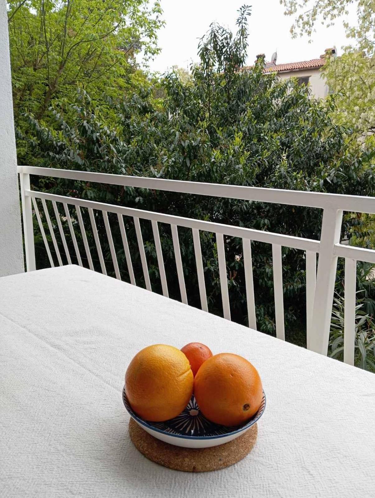 Apartman Maja *